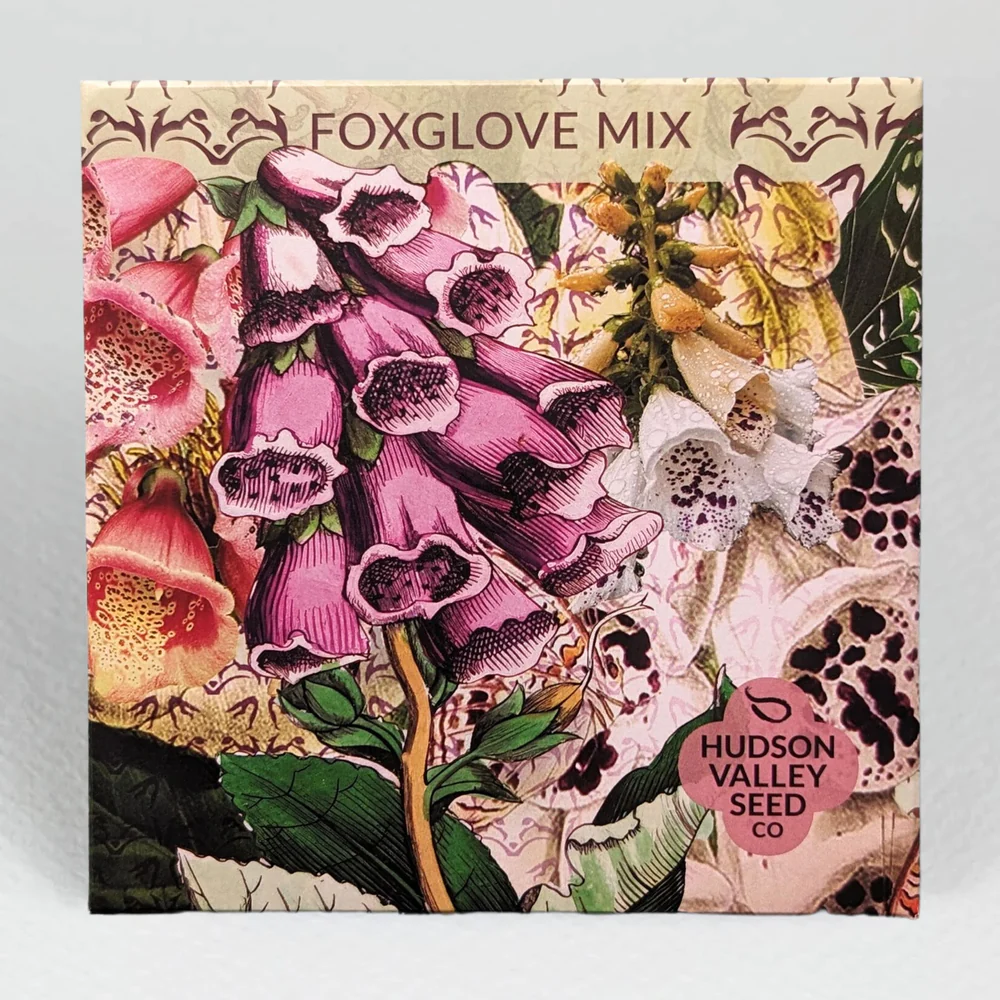 HV Foxglove Mix